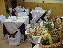 Hotel Bahia Malaga  2